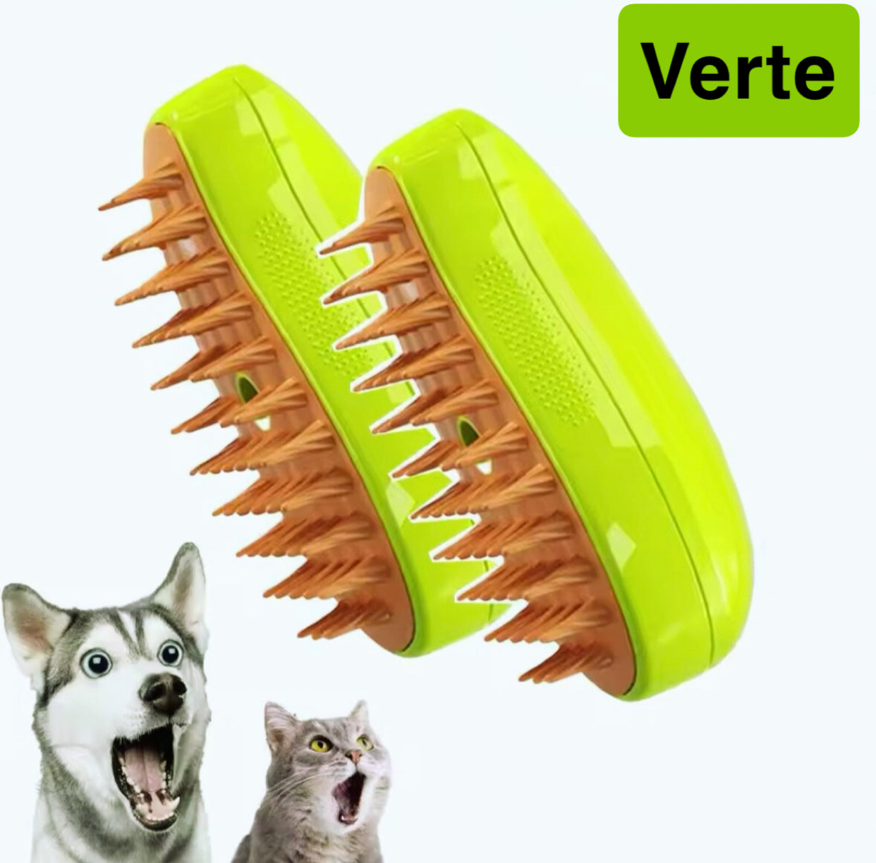 Brosse a vapeur