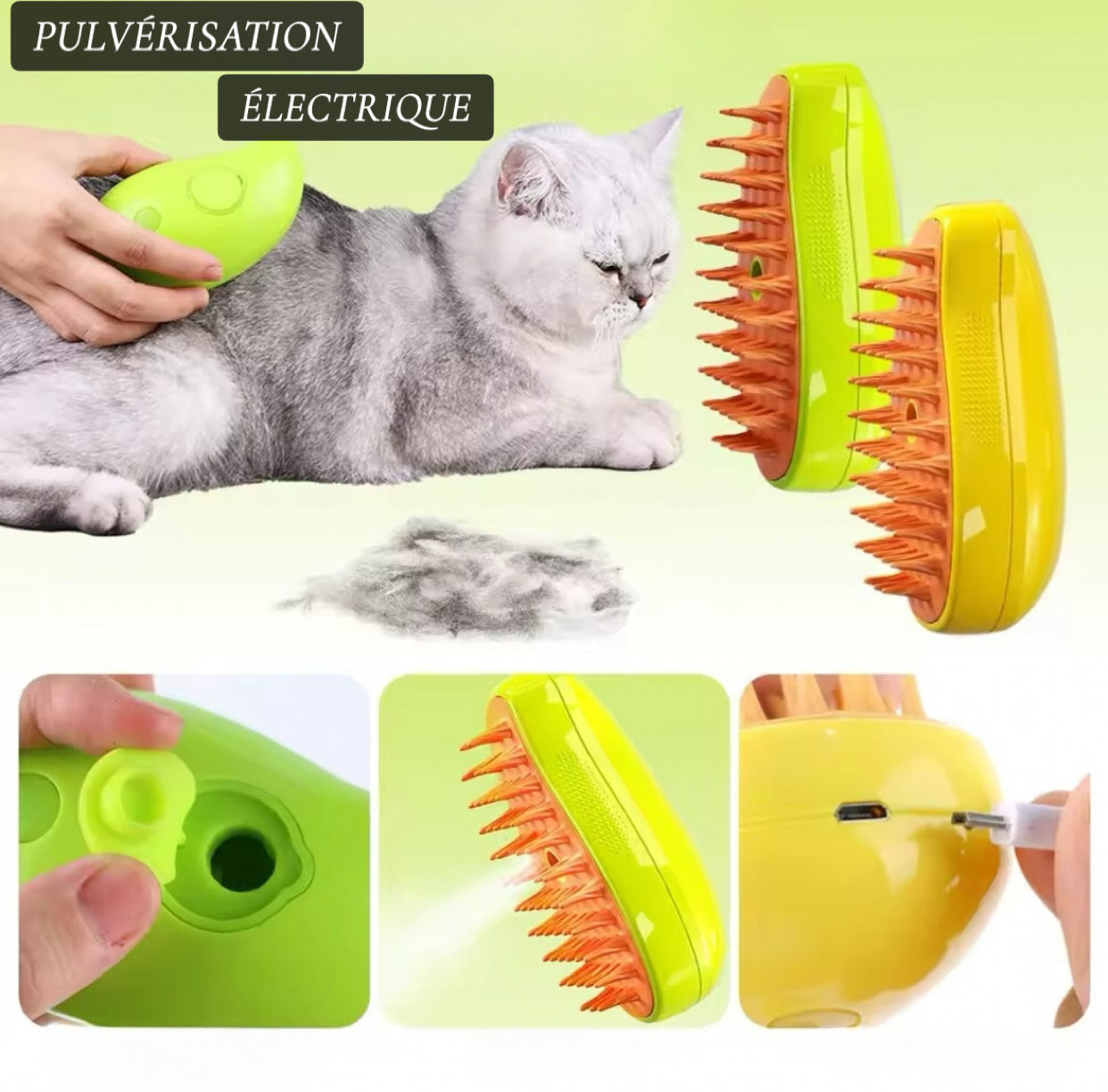 Brosse a vapeur