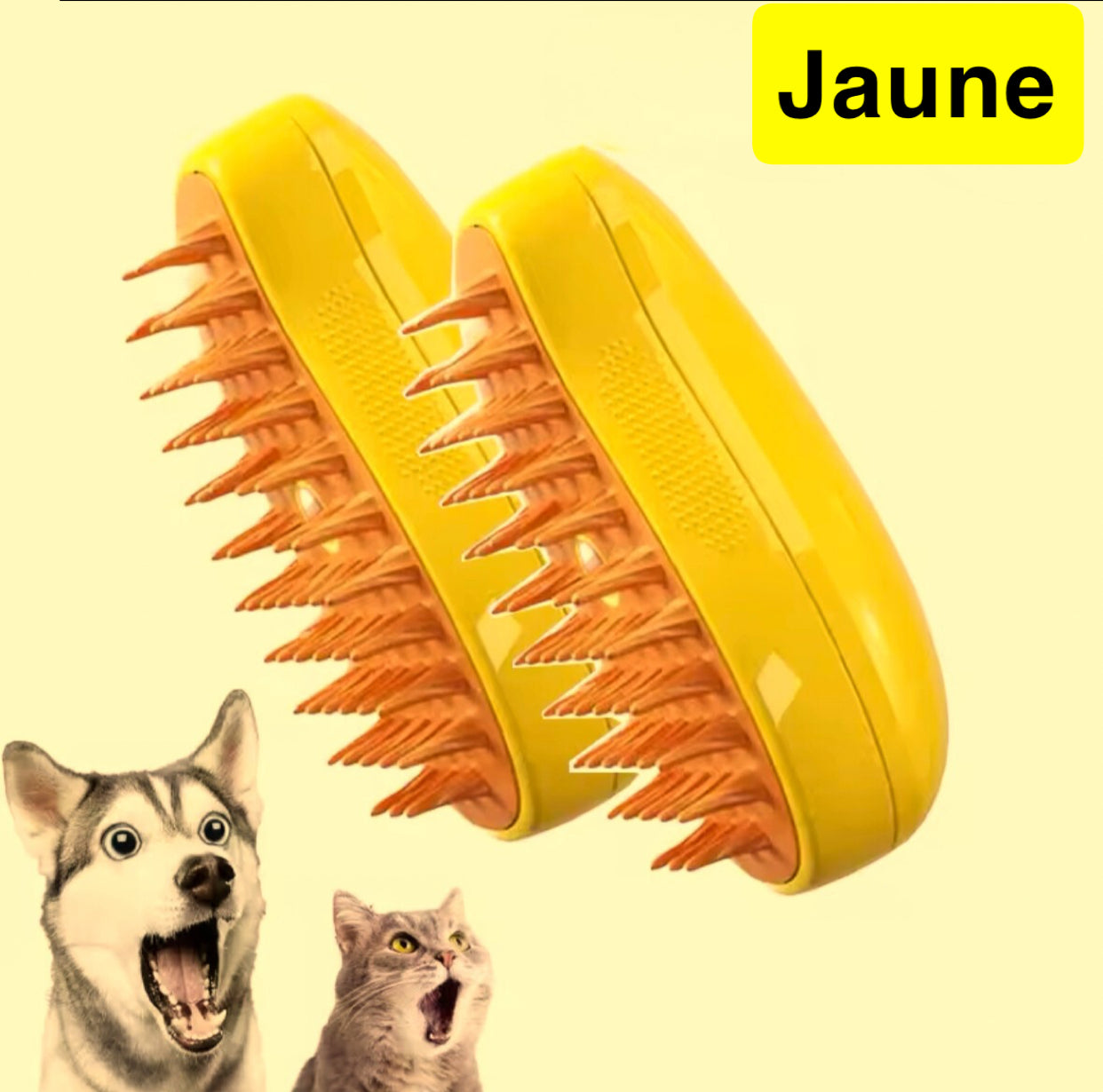 Brosse a vapeur