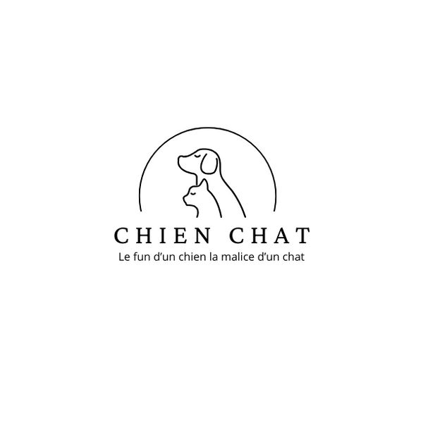 CHAT CHIEN